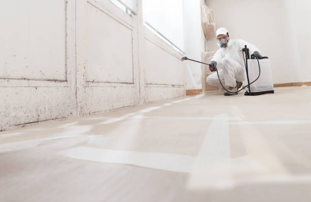 24/7 Emergency Bathroom Mold Removal experts in Winterville, NC